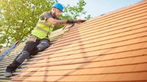 Best Roof Ventilation Installation  in Payson, AZ