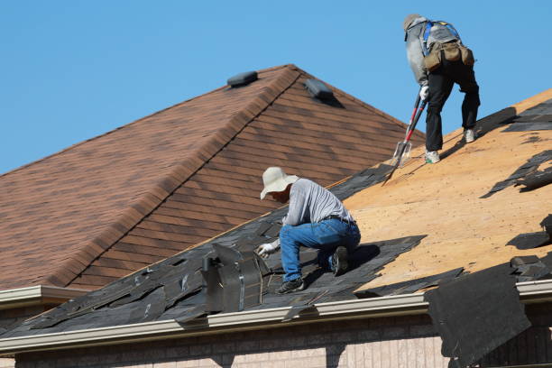 Best Metal Roofing Installation  in Payson, AZ