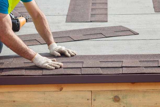 Best Sheet Metal Roofing  in Payson, AZ